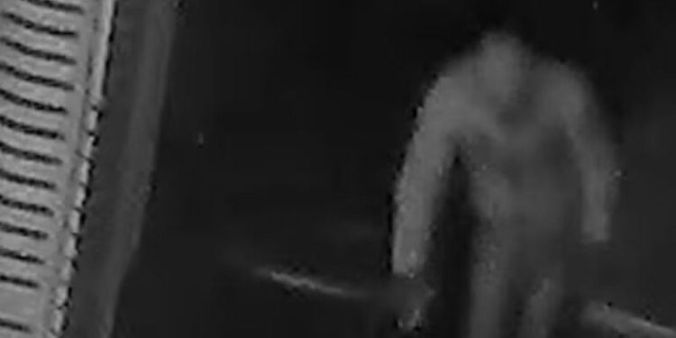 Vídeo: Homem invade bar durante a madrugada usando moletom e peça íntima feminina e viraliza