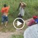 Suspeito de furt0s é esp4nc4d0 a paul4d4s por moradores em Maués; veja o vídeo