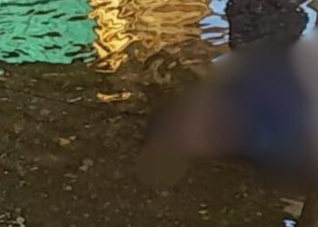 Corpo de homem é encontrado no rio em Maués; vítima foi identificada como 'Douglão'