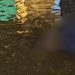 Corpo de homem é encontrado no rio em Maués; vítima foi identificada como 'Douglão'