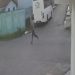 Sargento da PM é rendido por b4ndid0s em motos na Cidade Nova; veja o vídeo