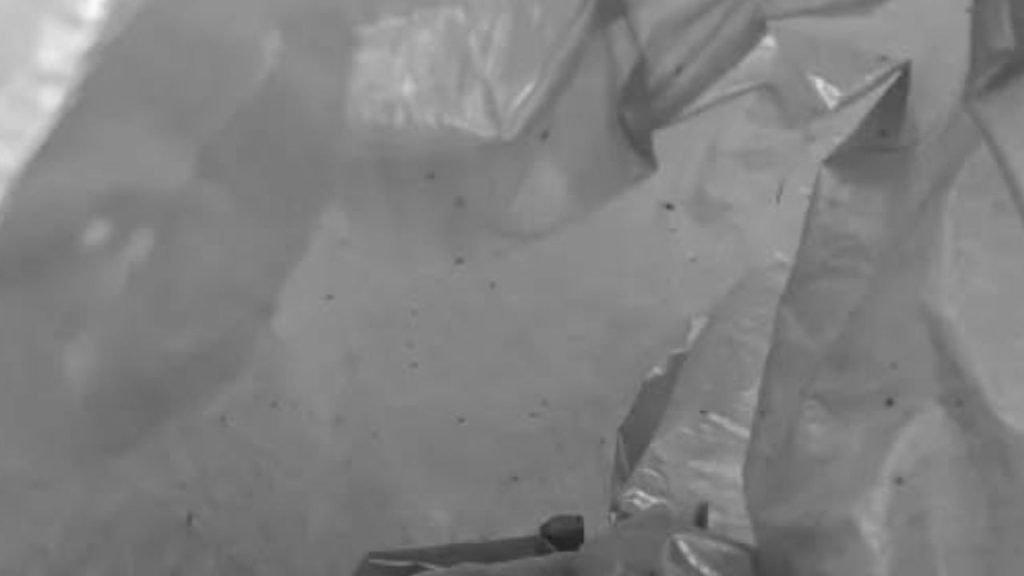 Polícia é acionada por moradores de Humaitá após mão de bebê ser achada dentro de lixeira