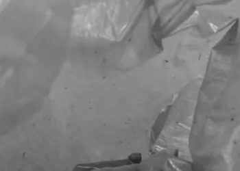 Polícia é acionada por moradores de Humaitá após mão de bebê ser achada dentro de lixeira