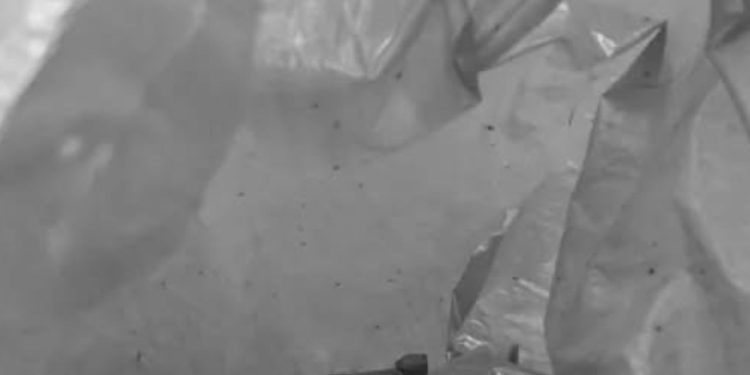 Polícia é acionada por moradores de Humaitá após mão de bebê ser achada dentro de lixeira