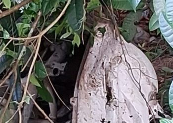 Vídeo: Família sofre acid3nte após motorista de app capotar e cair em área de mata em Manaus