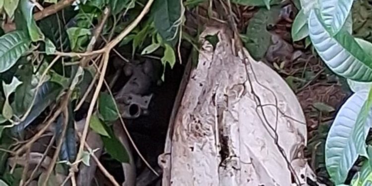 Vídeo: Família sofre acid3nte após motorista de app capotar e cair em área de mata em Manaus