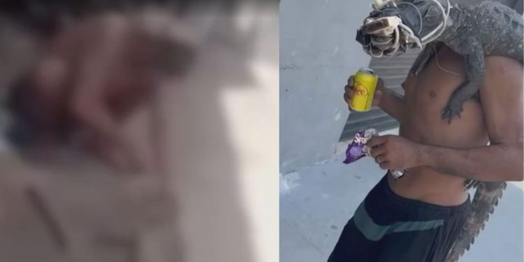 Novo vídeo mostra morador de rua c0rtando jacaré com fac4a em beco de Manaus; veja
