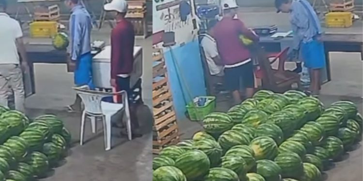 Homens fingem comprar melancia e anunciam assalto em Itacoatiara; veja o vídeo