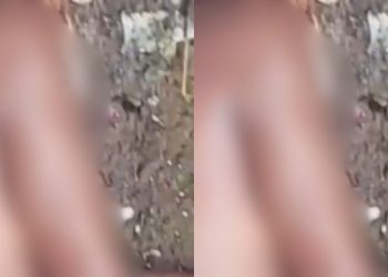 Vídeo: Vulgo ‘Ninja’, homem com histórico de furt0s é b4lead0 na c4beç4 e esp4ncad0 em Coari