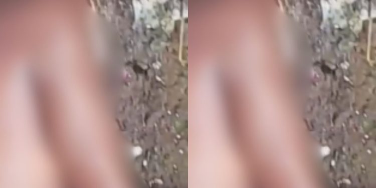 Vídeo: Vulgo ‘Ninja’, homem com histórico de furt0s é b4lead0 na c4beç4 e esp4ncad0 em Coari