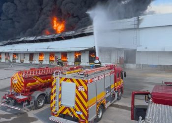 Fumaça tóxica de incêndio preocupa e bombeiros tentam impedir chegada de fogo em mata