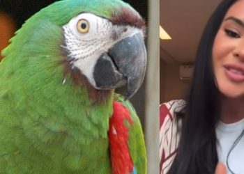 Isabelle Nogueira vira nome de arara no Cigs em Manaus: ‘emocionada’