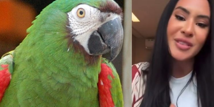 Isabelle Nogueira vira nome de arara no Cigs em Manaus: ‘emocionada’