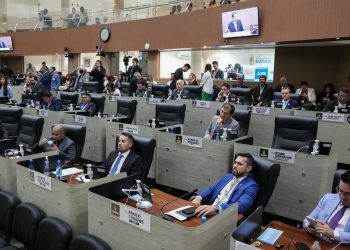 Câmara Municipal de Manaus reforça importância da participação cidadã durante Sessões Plenárias