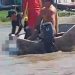 Vídeo: corpo de menina de 3 anos jogada no rio pelo pai é resgatado na foz do Amazonas