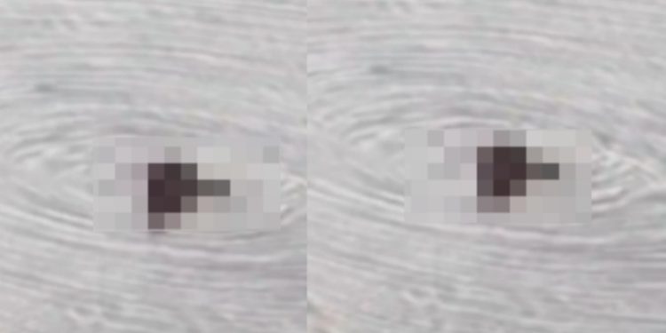 Vídeo: casal é filmado fonfonando em plena Ponta Negra em Manaus 