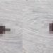Vídeo: casal é filmado fonfonando em plena Ponta Negra em Manaus 