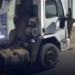 Vídeo: Em cenas terrív3is, homem aparece arr@stando companheira pelos cabelos em rua