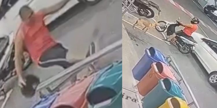 Vídeo: veja o momento em que homem é filmado chutand0 cachorro em Manaus