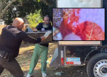 Veja: Mulher com os cabelos vermelhos é encontrada m0rta por trabalhador em Manaus