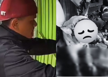 Cachorro Caramelo é m0rt0 a terçad@das em briga de família no interior do AM