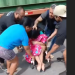 Vídeo: Carreta invad3 casa e jovem cadeirante fica pr3sa debaixo na Zona Norte de Manaus