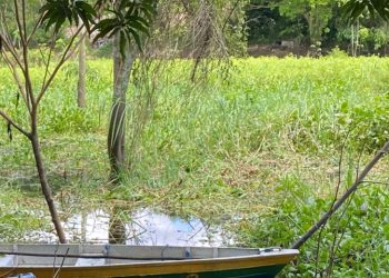 C0rp0 encontrado em igarapé é de homem que d3sapareceu durante surt0 em Manaus