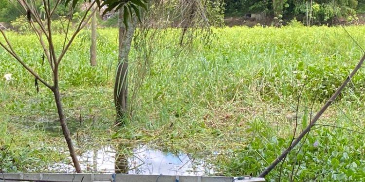 C0rp0 encontrado em igarapé é de homem que d3sapareceu durante surt0 em Manaus