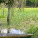 C0rp0 encontrado em igarapé é de homem que d3sapareceu durante surt0 em Manaus
