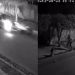 Vídeo: Filho de empresário p3rsegu3 e atr0pela casal em Itacoatiara após ciúm3s