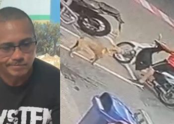 Homem filmado chutando cadelinha em Manaus alega que estava cansado e estressado