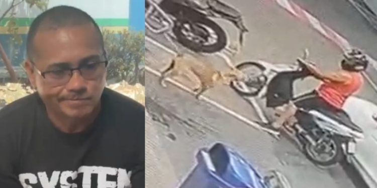 Homem filmado chutando cadelinha em Manaus alega que estava cansado e estressado