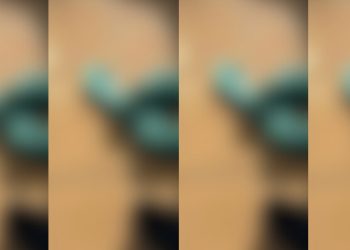 Homem é encontrado m0rto em casa após dar s0cos na parede no Amazonas