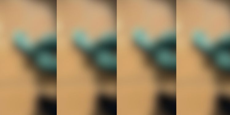 Homem é encontrado m0rto em casa após dar s0cos na parede no Amazonas