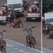 Vídeo: nervos0 e com terçad0 na mão bota rival para fugir da m0rte no Amazonas