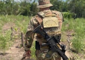 Polícia elimina 8 mil pés de mac0nha e estraga fim de semana dos mac0nheiros do Amazonas