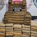 Polícia do Amazonas tomba de uma só vez meio milhão em mac0nha do tráfic0