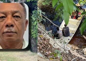 Idoso estaciona carro para urinar, escorrega no barranco e m0rre em Manaus 