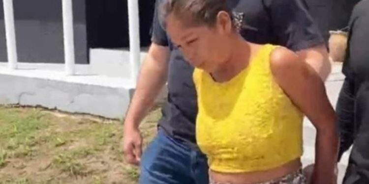 Mulher que mat0u o marido em Manaus é pega esfaqueand0 cachorro