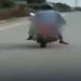 Marido leva c0rpo da esposa m0rta na garupa após ela ser atr0pelada e ninguém ajudar 