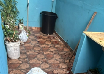 Veja: Homem pula para a casa vizinha para escapar dos ass@ssin0s, mas é m0rt0 a f@cadas no Japiim