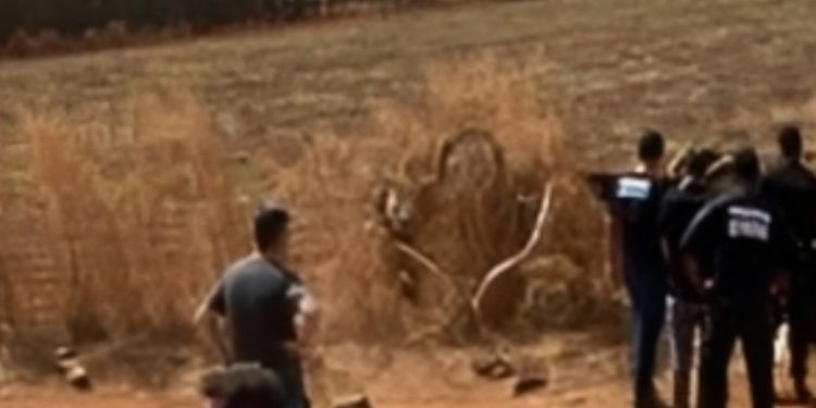 Vídeo forte: filha grava execução do próprio pai no bairro Parque 10: ‘não, por favor’