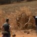 Vídeo forte: filha grava execução do próprio pai no bairro Parque 10: ‘não, por favor’