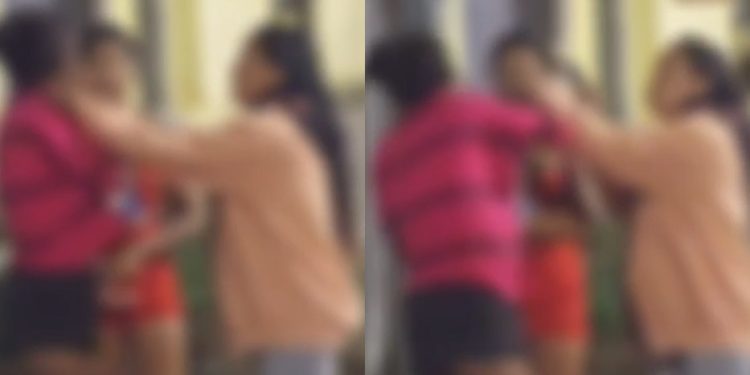 Vídeo: Comand0 Vermelh0 dá lição em suspeita no Amazonas: ‘pensou no filho quando foi roubar?’