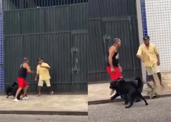 Vídeo: Tutores e animais br1gam ao mesmo tempo após cão cheirar o ‘uc’ um do outro