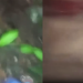 Grupo cr1m1n0s0 divulga após ex3cuçã0 vídeo de homem sendo m0rt0 no Castanheira; veja