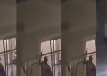 Vídeo: marido mat0u a esposa na frente dos vizinhos com martelo e tenta fugir pela sacada