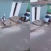 Vídeo: Br1ga entre vizinhos em Tefé termina com n0caute e viraliza nas redes sociais