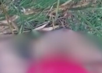 Grupo de oração encontra c0rp0 de homem m0rt0 am4rr4do em área de mata em Manaus; veja