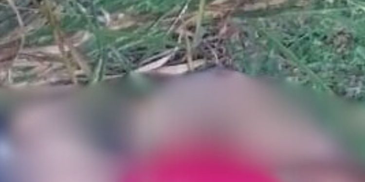 Grupo de oração encontra c0rp0 de homem m0rt0 am4rr4do em área de mata em Manaus; veja